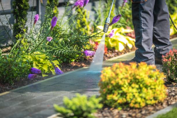 Winterizing Services in Mims, FL